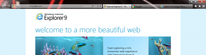 The new IE9 navigation bar