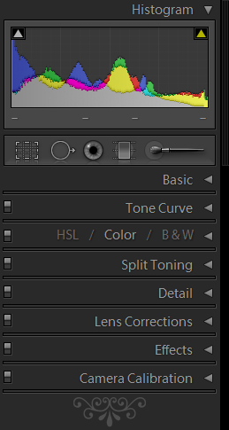 Adobe Lightroom Review