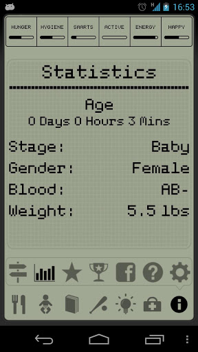 Hatchi Statistics