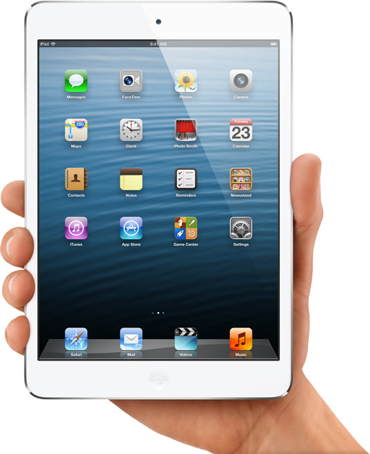 iPad Mini Being Held Up