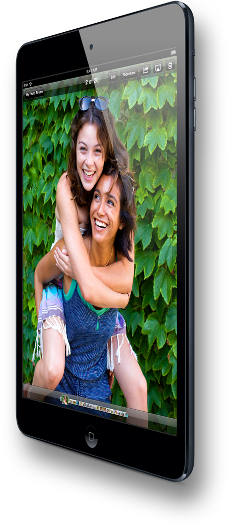 iPad Mini IPS Panel Display